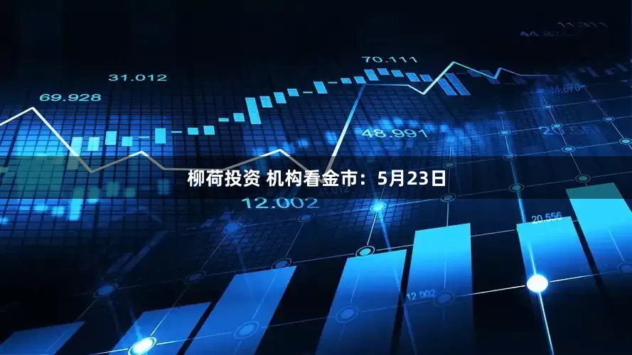 柳荷投资 机构看金市：5月23日
