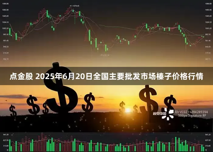 点金股 2025年6月20日全国主要批发市场榛子价格行情
